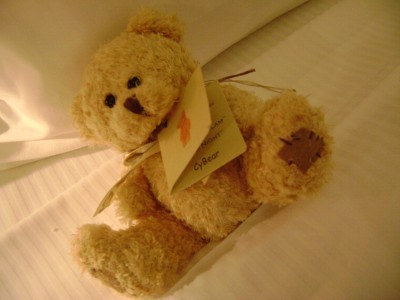 cute complimentary bear
