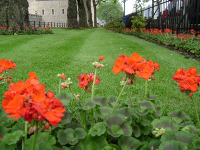 spring 2008