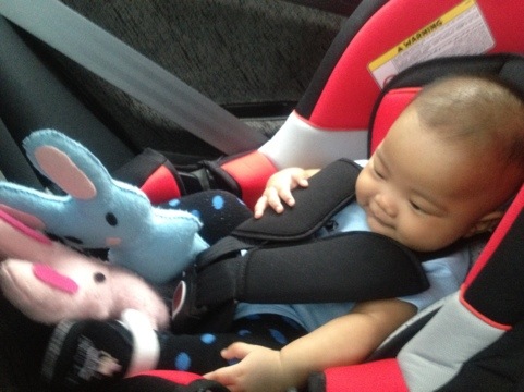 20120521-163525.jpg