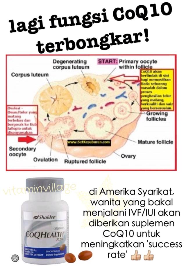 coqivf